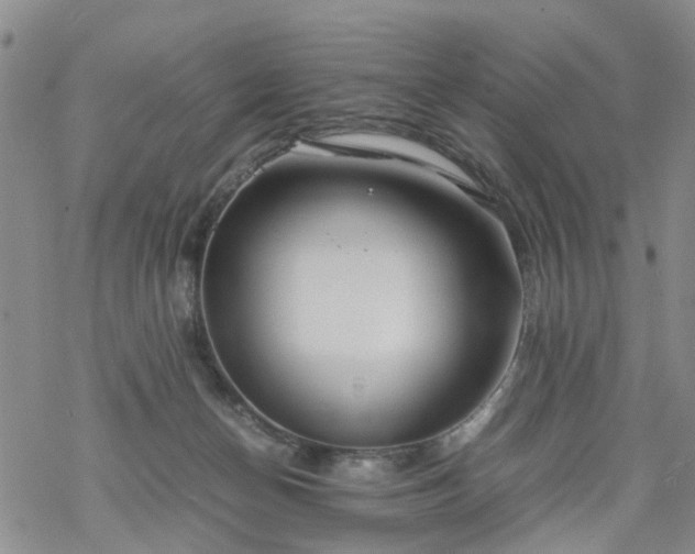 X0000069390174200605192223