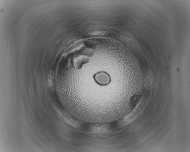 X0000069390175200605192223