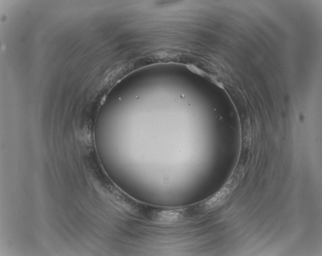 X0000069390176200605192223