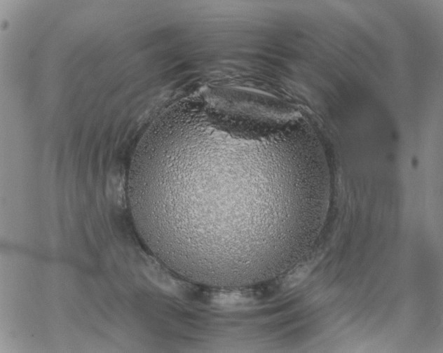 X0000069390177200605192223