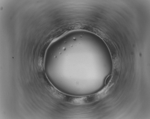 X0000069390178200605192223