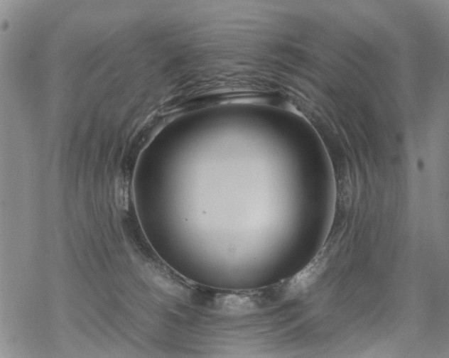 X0000069390180200605192223