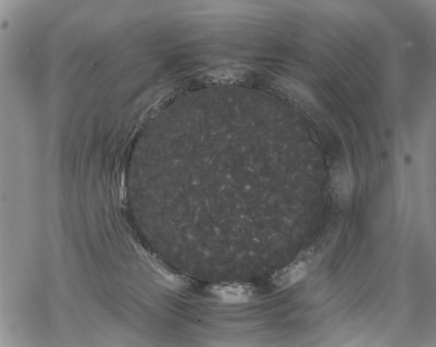 X0000069390181200605192223