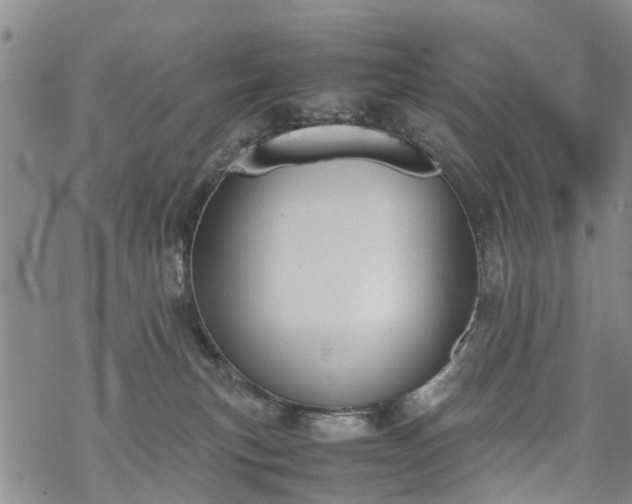 X0000069390183200605192223