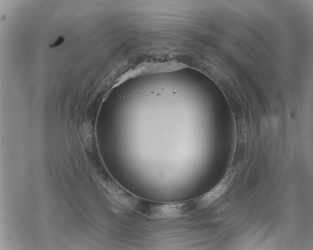 X0000069390184200605192223