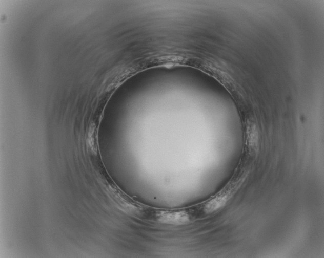 X0000069390185200605192223