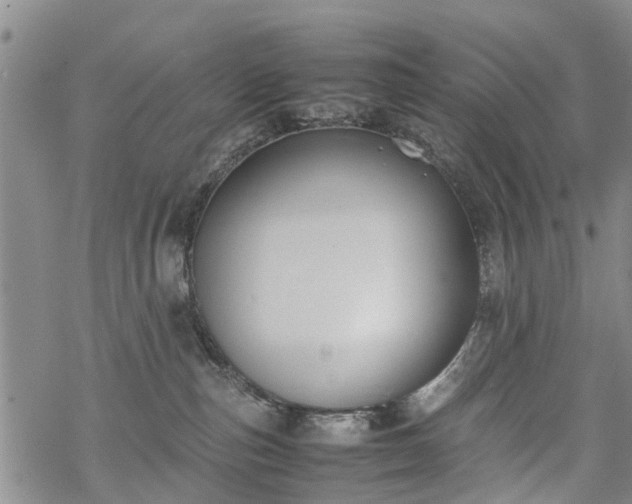 X0000069390187200605192223