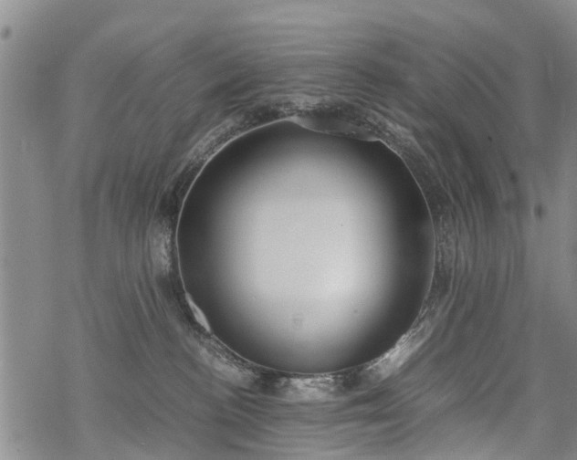 X0000069390188200605192223