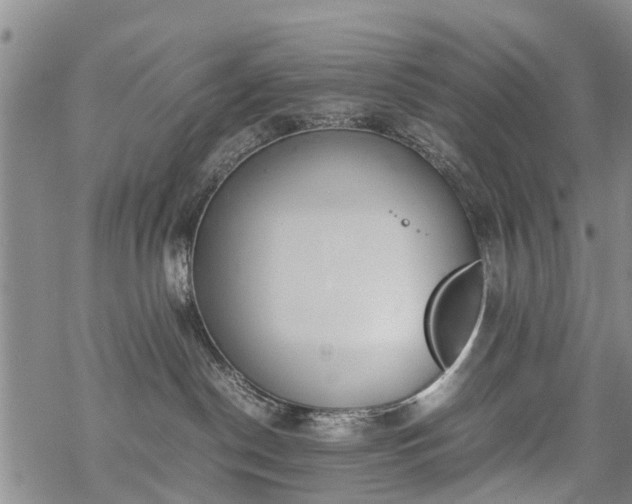 X0000069390190200605192223