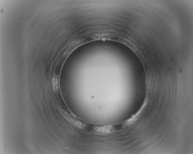 X0000069390191200605192223