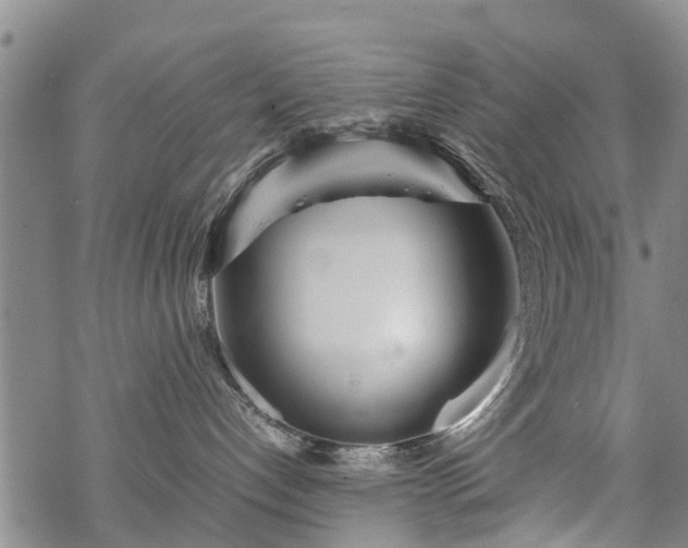 X0000069390192200605192223