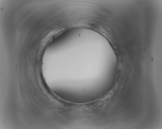 X0000069390193200605192222