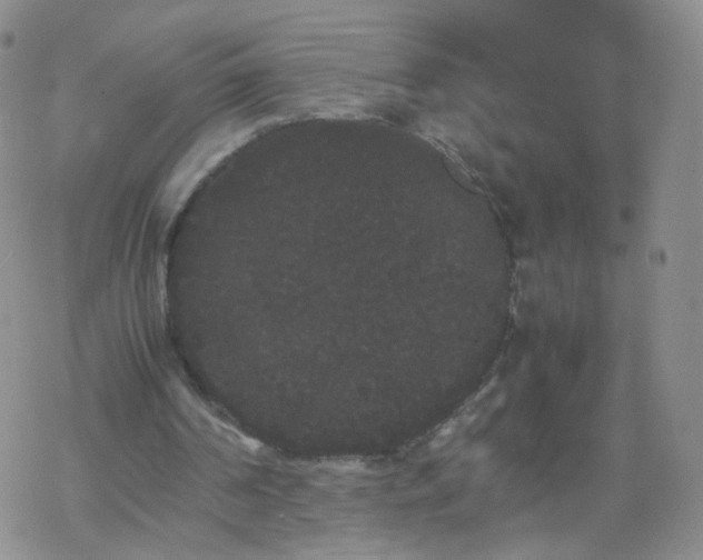 X0000069390194200605192222