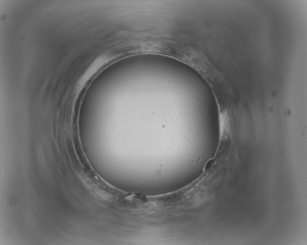 X0000069390195200605192222