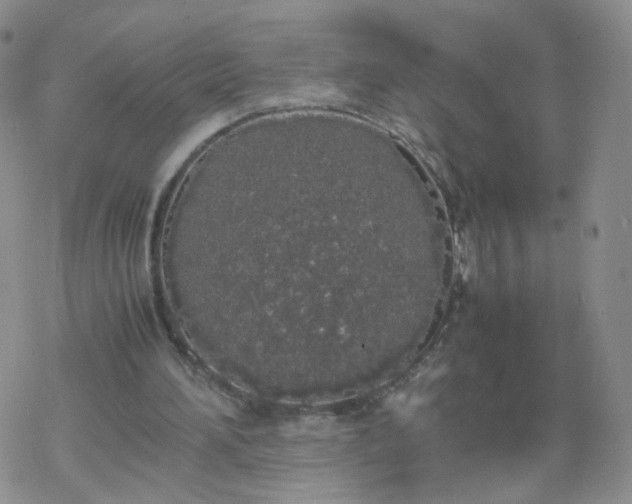 X0000069390196200605192222