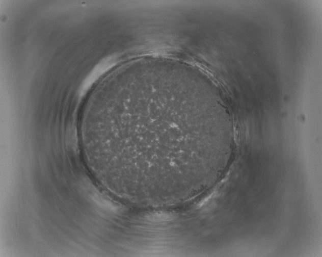 X0000069390198200605192222