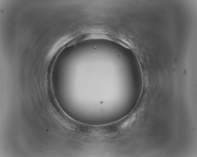 X0000069390199200605192222