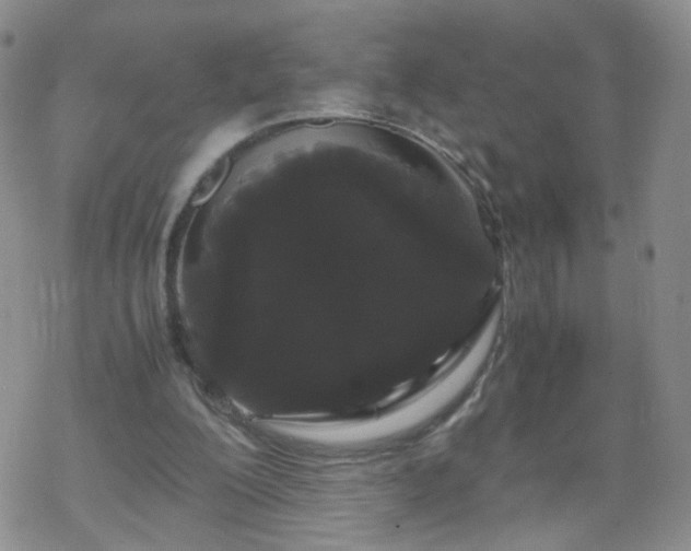 X0000069390200200605192222