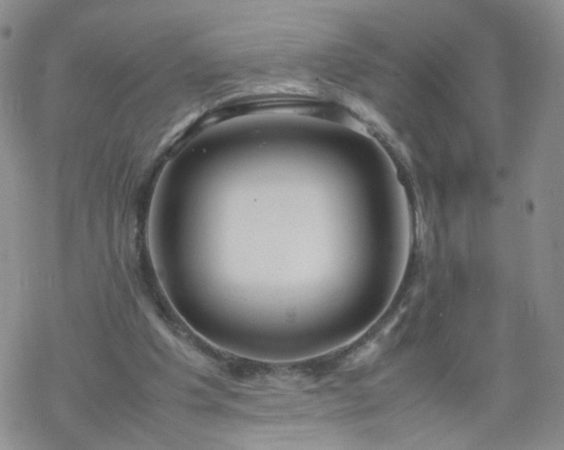 X0000069390201200605192222