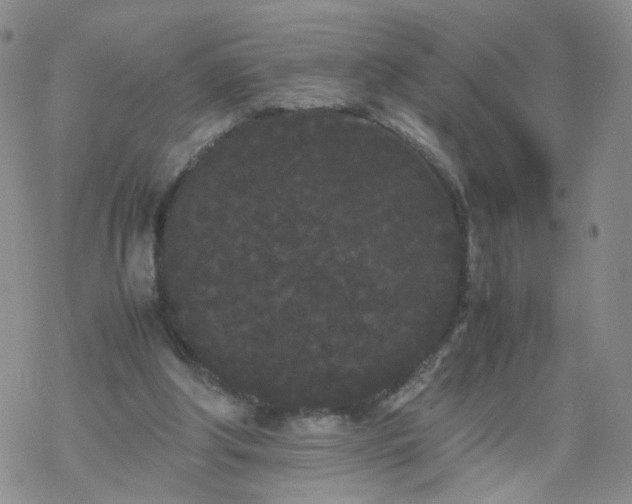 X0000069390202200605192222