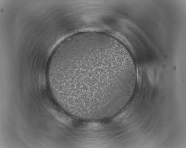 X0000069390204200605192222