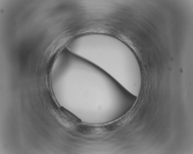 X0000069390205200605192222