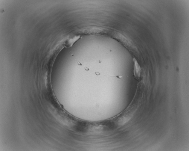 X0000069390206200605192222