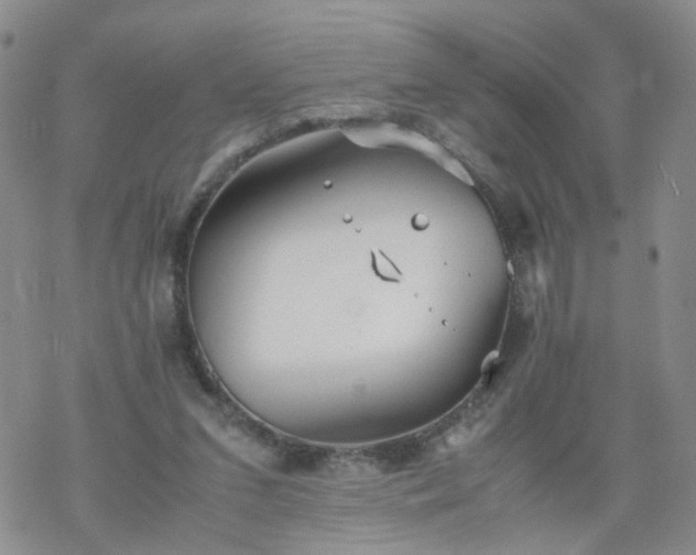 X0000069390207200605192222