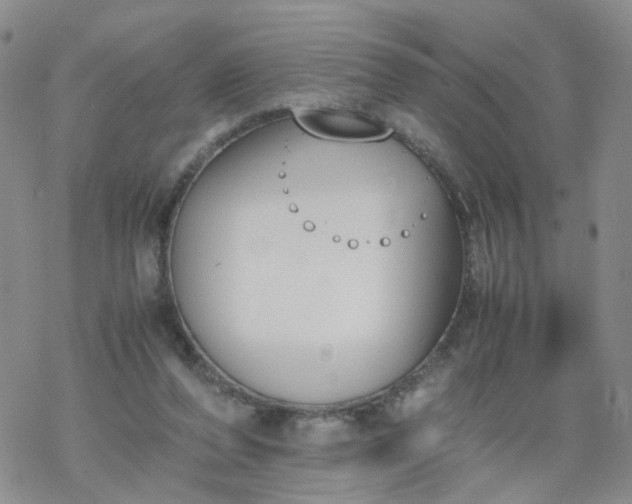 X0000069390208200605192222