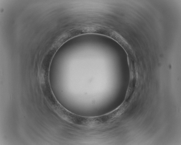 X0000069390209200605192222