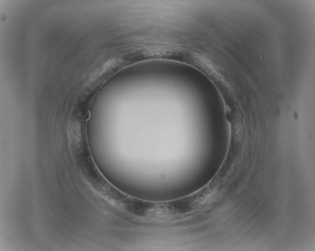 X0000069390211200605192222