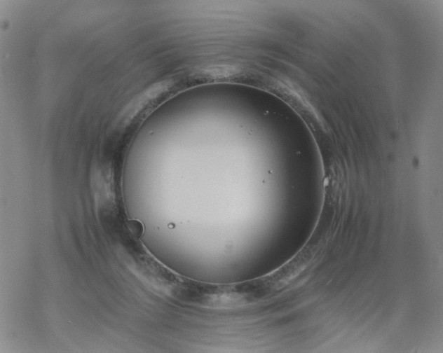 X0000069390212200605192222