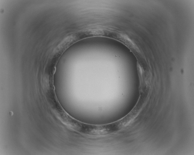 X0000069390213200605192222