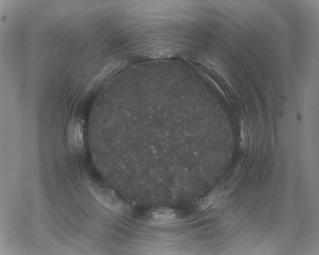 X0000069390214200605192222