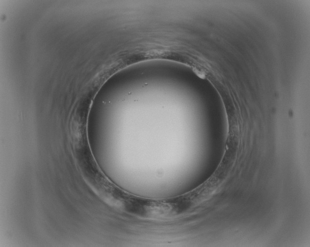 X0000069390215200605192222