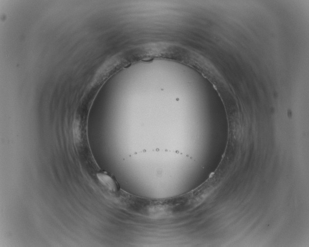 X0000069390216200605192222