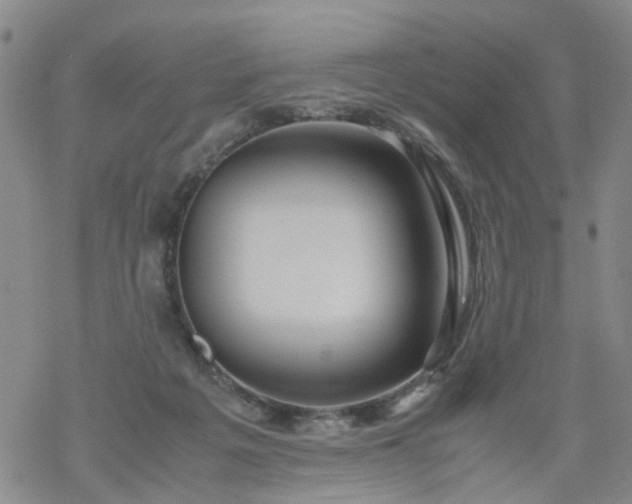 X0000069390217200605192222