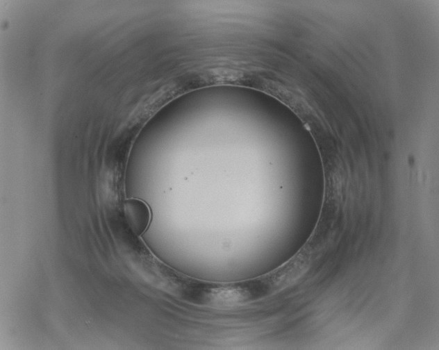 X0000069390218200605192222