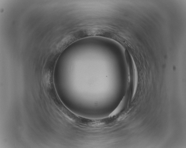 X0000069390219200605192222