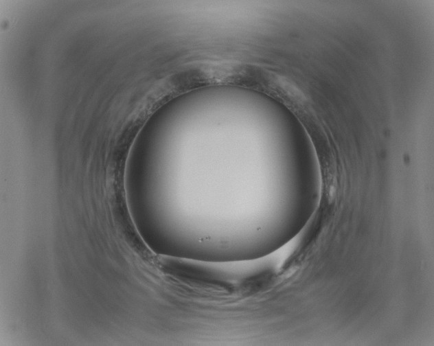 X0000069390221200605192222