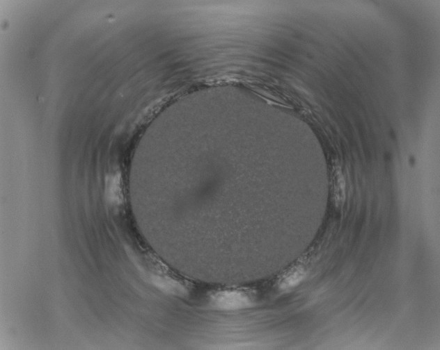 X0000069390224200605192222