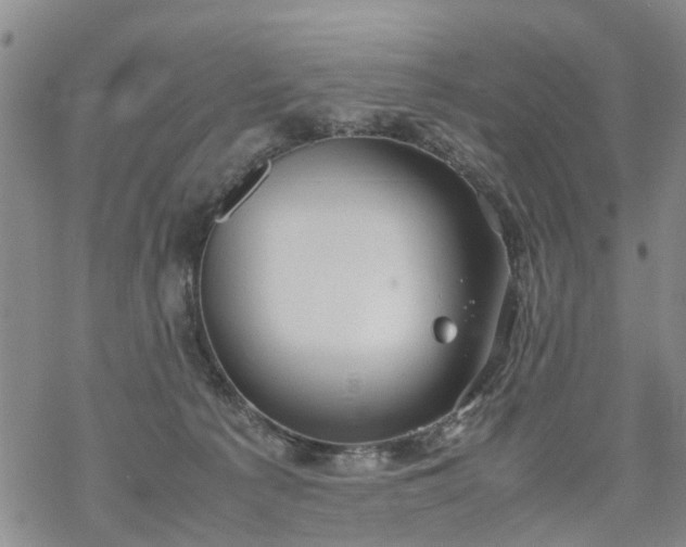 X0000069390225200605192222