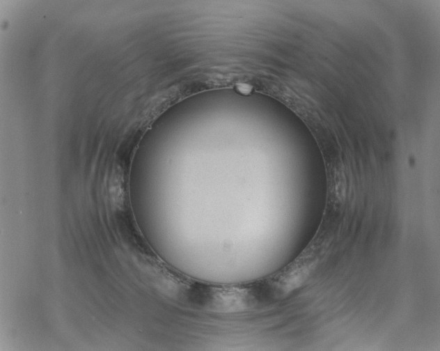 X0000069390226200605192222