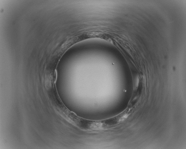 X0000069390227200605192222