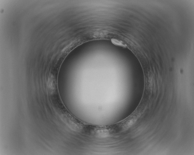 X0000069390228200605192222