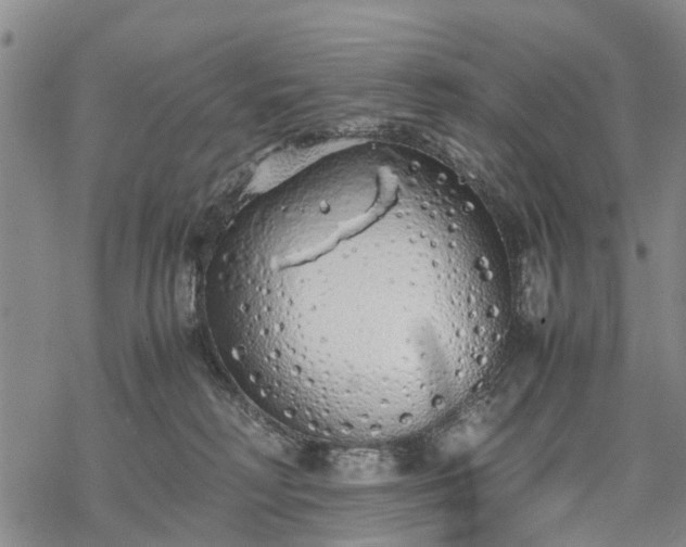 X0000069390230200605192222