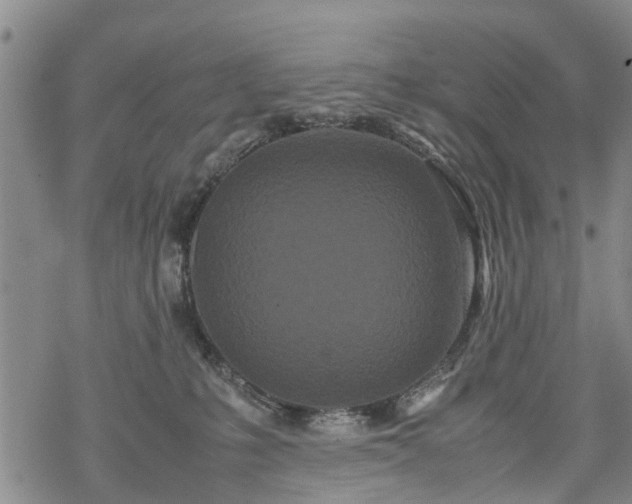 X0000069390231200605192222