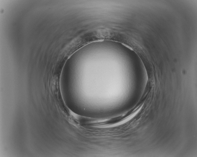 X0000069390233200605192222