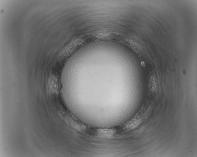 X0000069390234200605192222