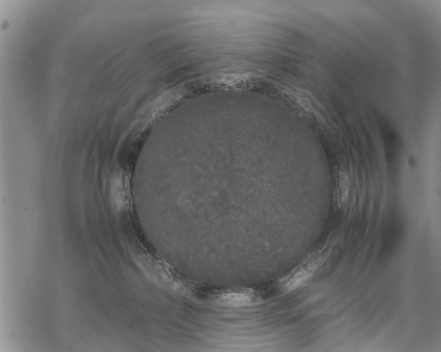 X0000069390236200605192222